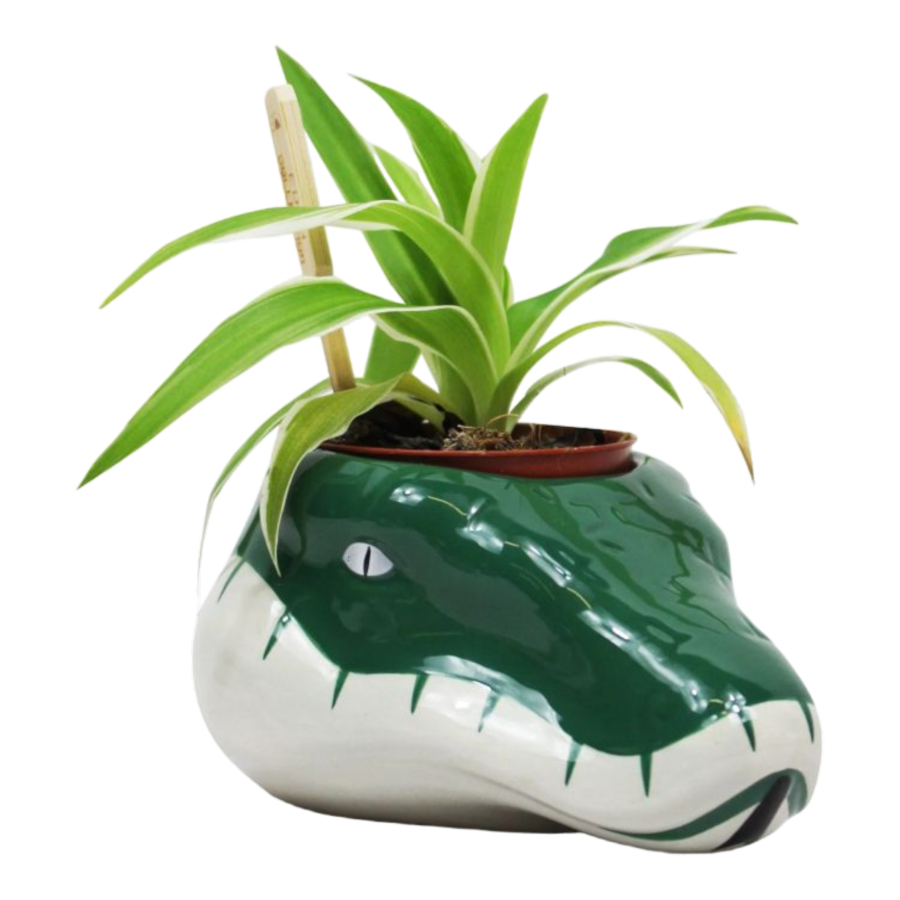 Slytherin Plant Pot