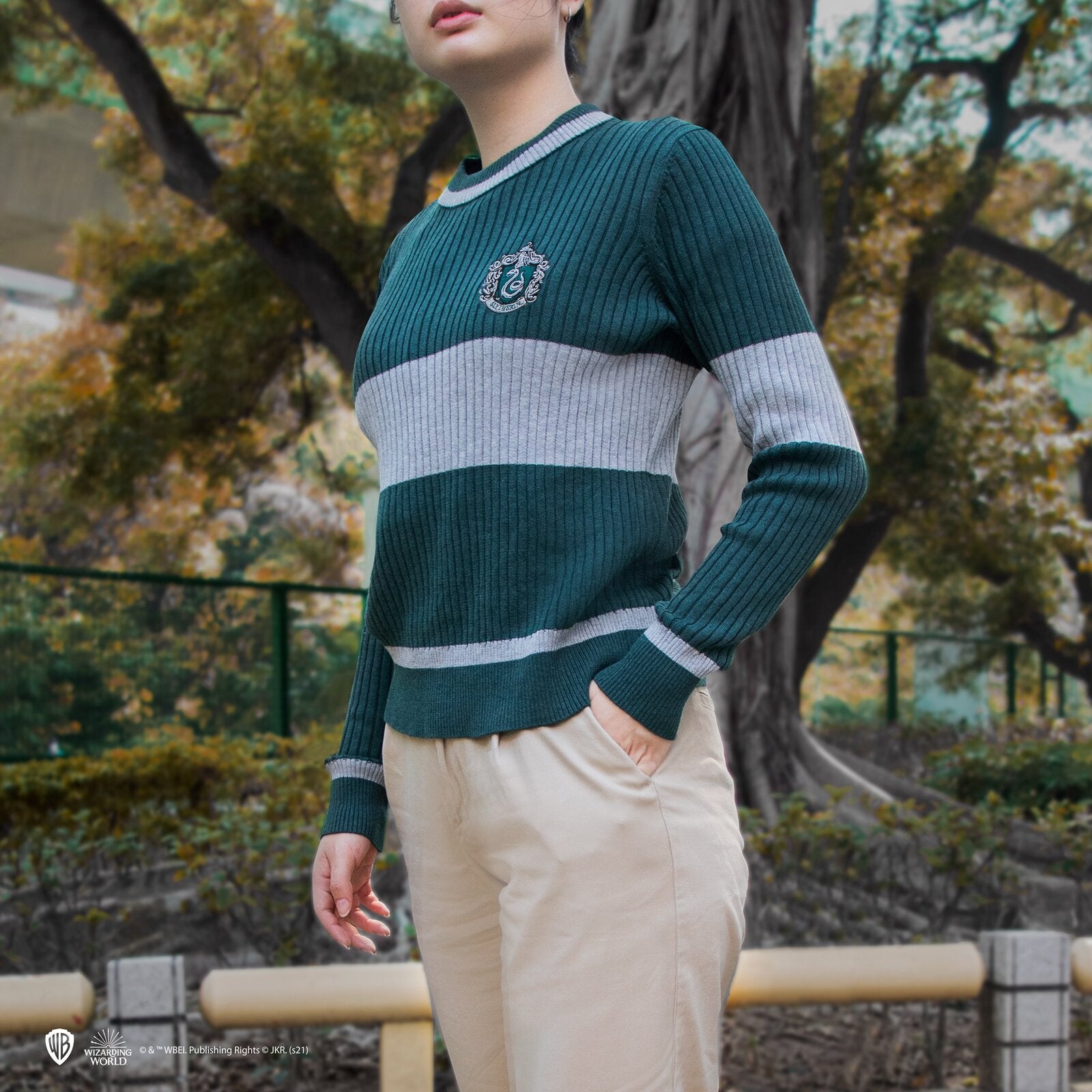 Slytherin House Quidditch Sweater1