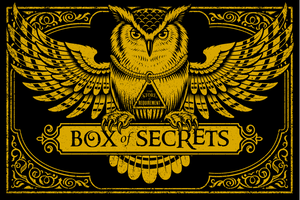 BOX OF SECRETS - Mystery Box