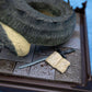 Basilisk Magical Creature Diorama