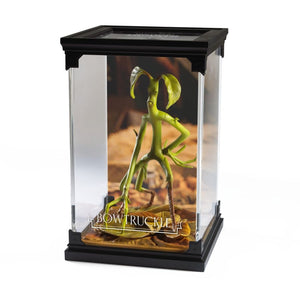 Bowtruckle Magical Creatures