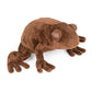 Chocolate Frog Plush & Pillow