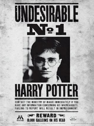 Harry Potter Undesirable No. 1 Poster Print