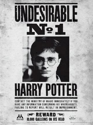 Harry Potter Undesirable No. 1 Poster Print