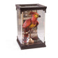 Fawkes Magical Creatures