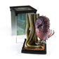 Fwooper Magical Creature Diorama