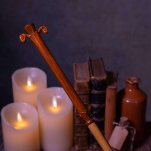 Gilderoy Lockhart Ollivanders Wand