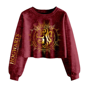 Gryffindor Constellation Cropped Sweater