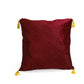 Gryffindor House Mascot Plush & Cushion
