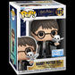 Harry Potter with Hedwig Pop! Vinyl #197