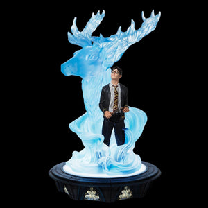 Harry Potter with Light up Patronus