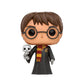 Harry Potter & Hedwig Funko Pop Vinyl #31