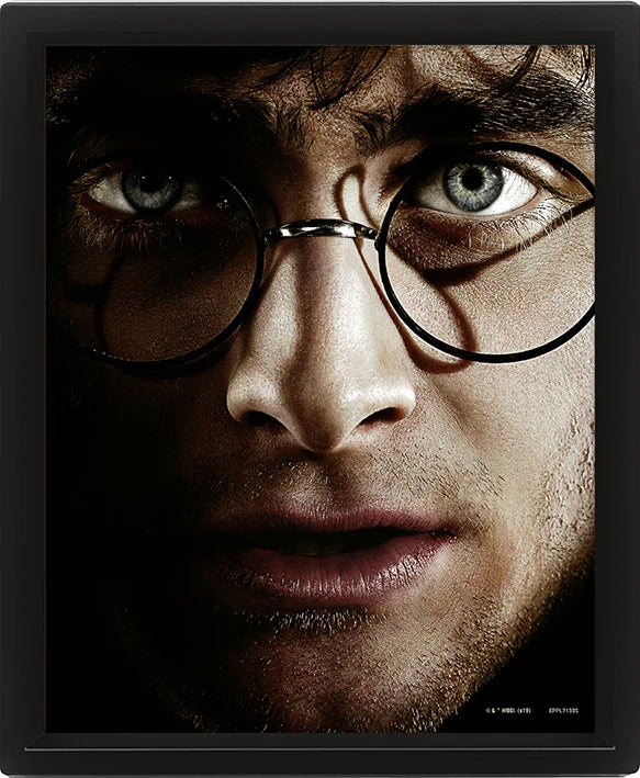 Harry Potter and Voldemort 3D Poster Print