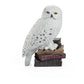 Hedwig Magical Creatures
