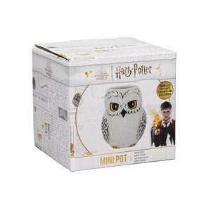 Hedwig Shaped Pot