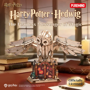 Hedwig Wooden Construction Craft Set