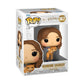 Hermione Granger with Crookshanks Pop! Vinyl #167