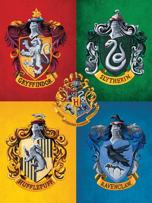 Hogwarts Colourful Crests Canvas