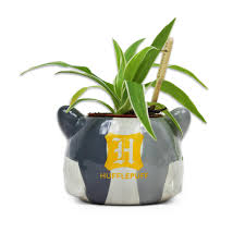 Hufflepuff Plant Pot