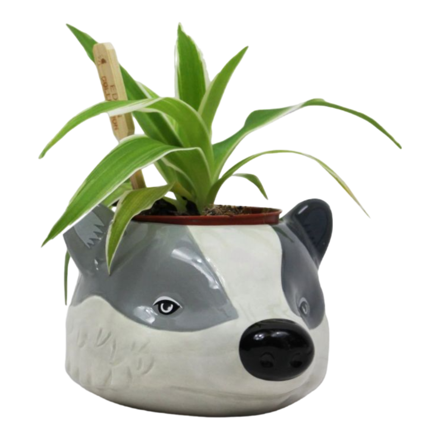 Hufflepuff Plant Pot