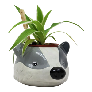 Hufflepuff Plant Pot