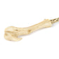 Lord Voldemort Ollivanders Wand