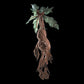 Mandrake Collector Plush