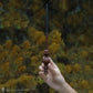 McGonagall Wand Pen and Wand Stand with Bookmark