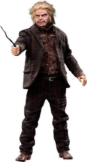Peter Pettigrew 1/6 Scale Collectible Figure