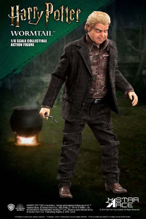 Peter Pettigrew 1/6 Scale Collectible Figure