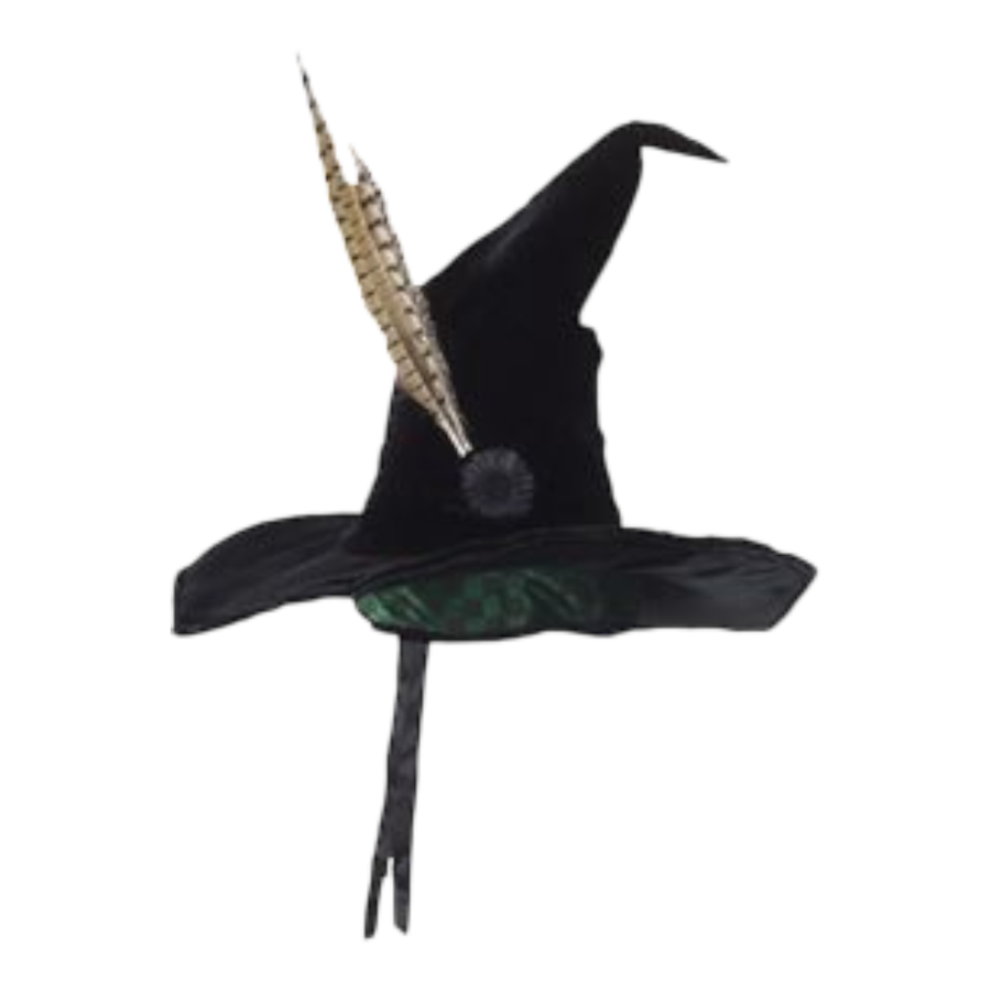 Professor McGonagall Hat