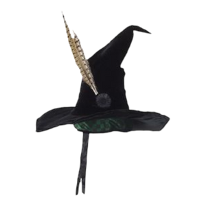 Professor McGonagall Hat