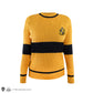 Hufflepuff House Quidditch Sweater