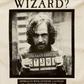 Have You Seen This Wizard? Tea Towel