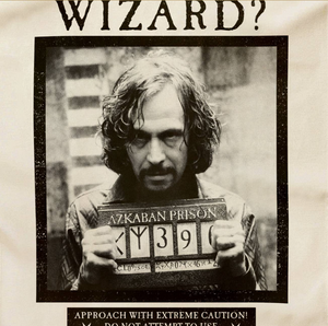 Have You Seen This Wizard? Tea Towel