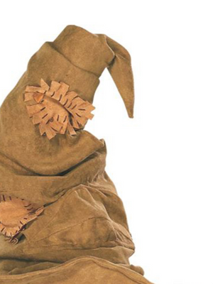 Sorting Hat Costume