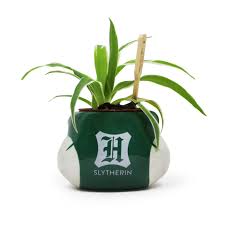 Slytherin Plant Pot