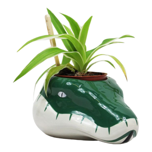 Slytherin Plant Pot