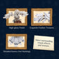 Hedwig Wooden Construction Craft Set