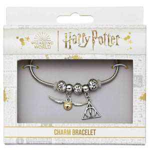 Charm Bracelet & Slider Gift Set
