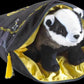 Hufflepuff House Mascot Plush & Cushion