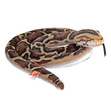 Burmese Python Snake Plush - Living Earth