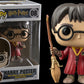 Harry Potter Quidditch Pop! Vinyl #08