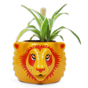 Gryffindor Lion Pot Plant