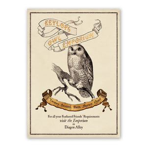Poster Eeylops Owl Emporium